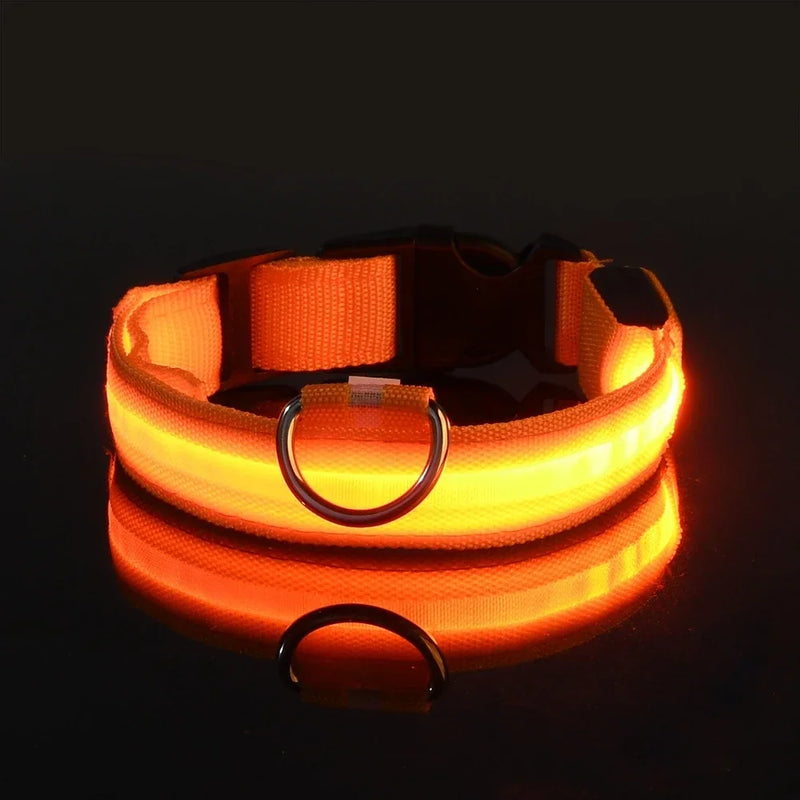 Coleira LED Noturna para Cães – Brilho Fluorescente de Segurança