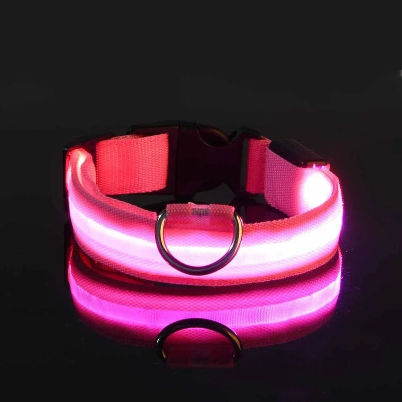 Coleira LED Noturna para Cães – Brilho Fluorescente de Segurança