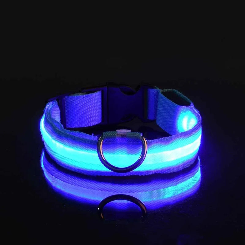 Coleira LED Noturna para Cães – Brilho Fluorescente de Segurança