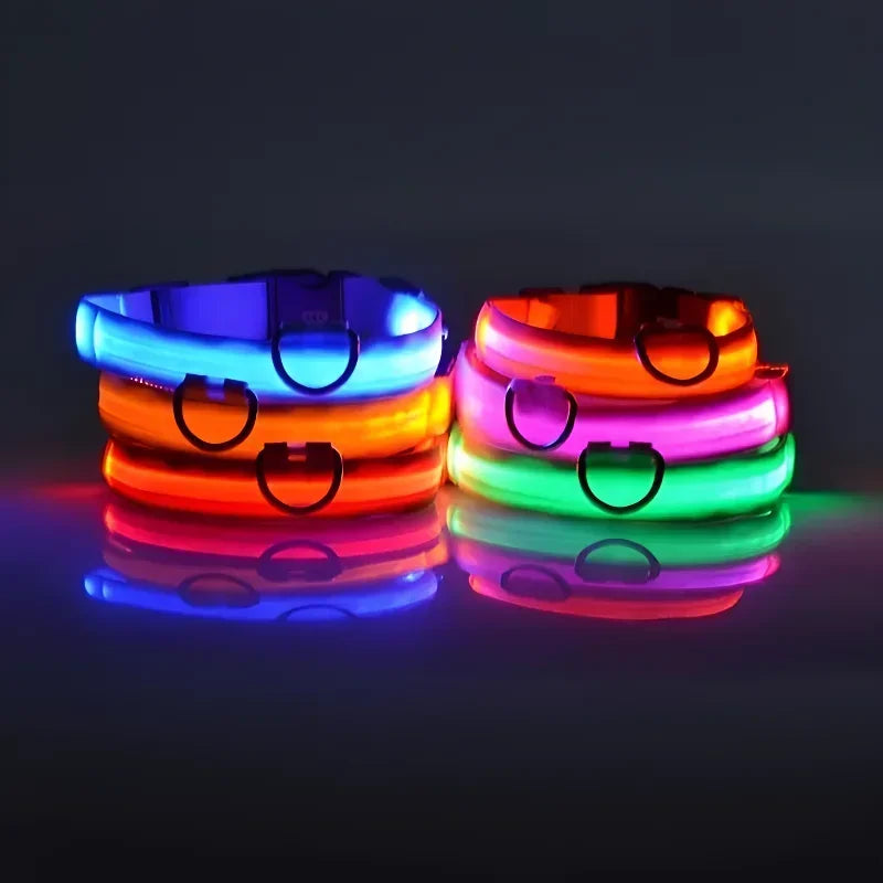 Coleira LED Noturna para Cães – Brilho Fluorescente de Segurança