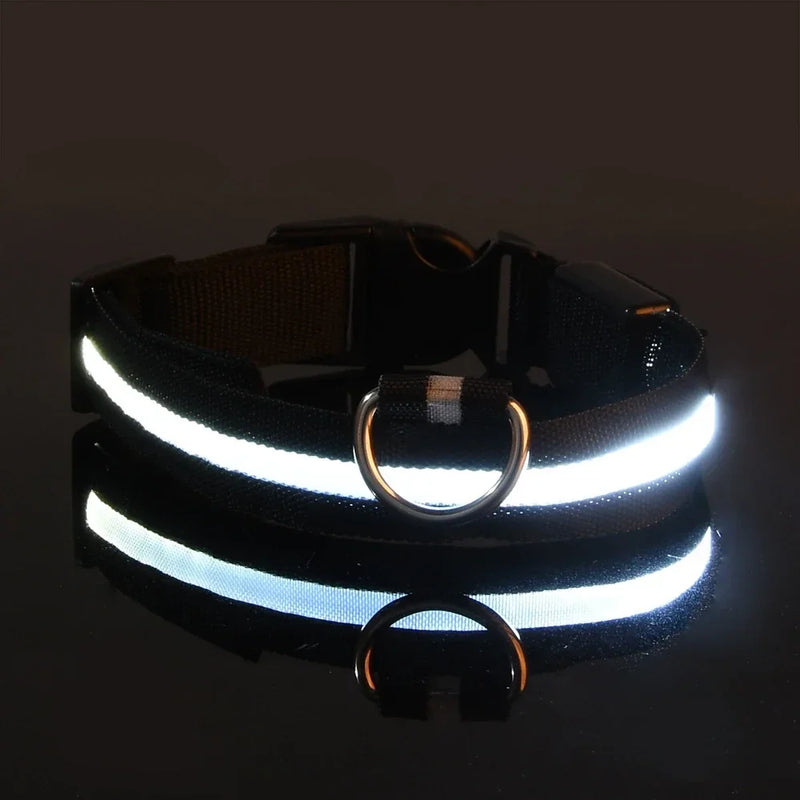 Coleira LED Noturna para Cães – Brilho Fluorescente de Segurança