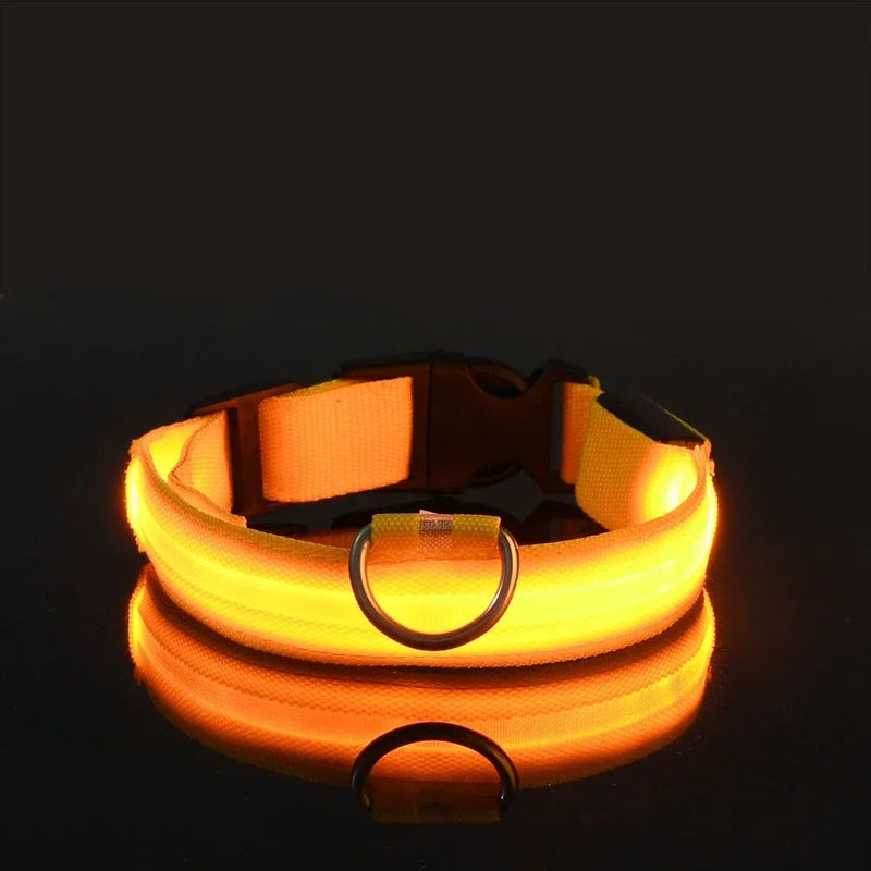 Coleira LED Noturna para Cães – Brilho Fluorescente de Segurança