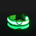 Coleira LED Noturna para Cães – Brilho Fluorescente de Segurança