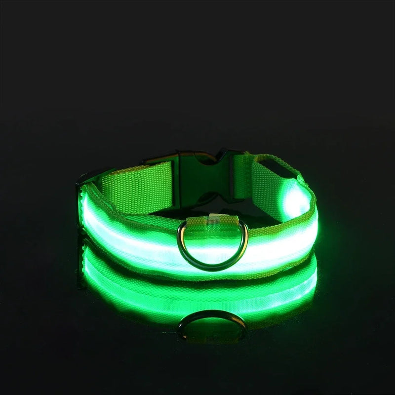 Coleira LED Noturna para Cães – Brilho Fluorescente de Segurança